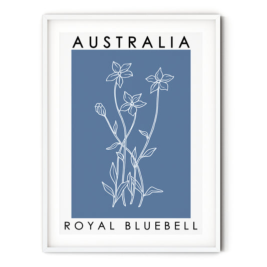 Australia Poster - Royal Bluebell