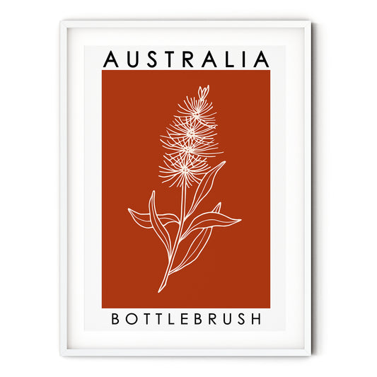 Australia Poster - Bottlebrush