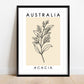 Australia Poster - Acacia