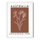 Australia Poster - Kangaroo Paw